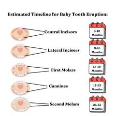 Teething Pain Relief For Babies - Teethee