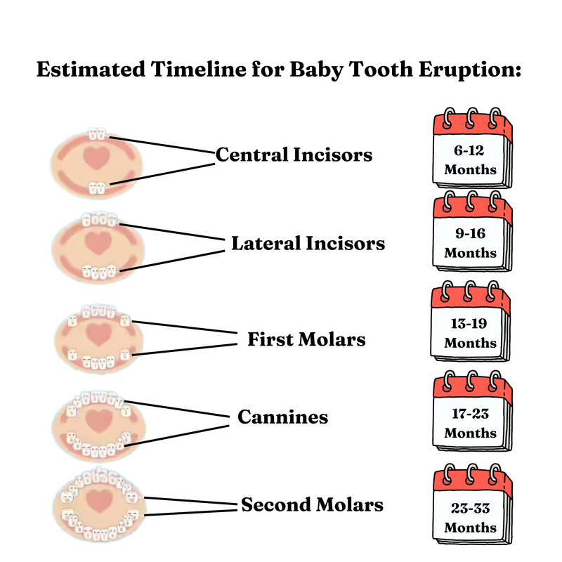 Teething Pain Relief For Babies - Teethee