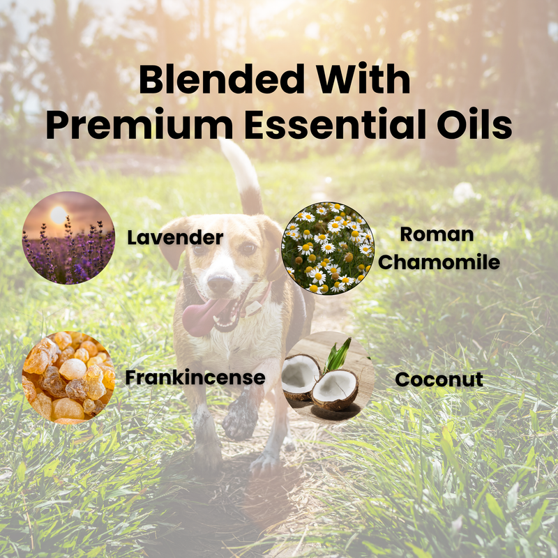 Anxiety Relief For Dogs - Hushie