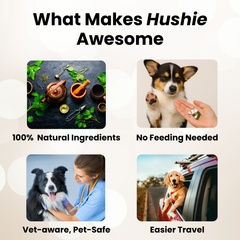 Anxiety Relief For Dogs - Hushie