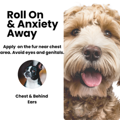 Anxiety Relief For Dogs - Hushie