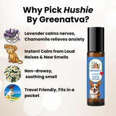 Anxiety Relief For Dogs - Hushie